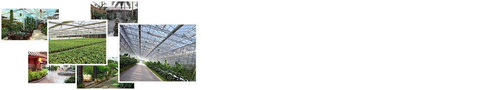 24小時(shí)免費(fèi)咨詢(xún)、免費(fèi)技術(shù)指導(dǎo)